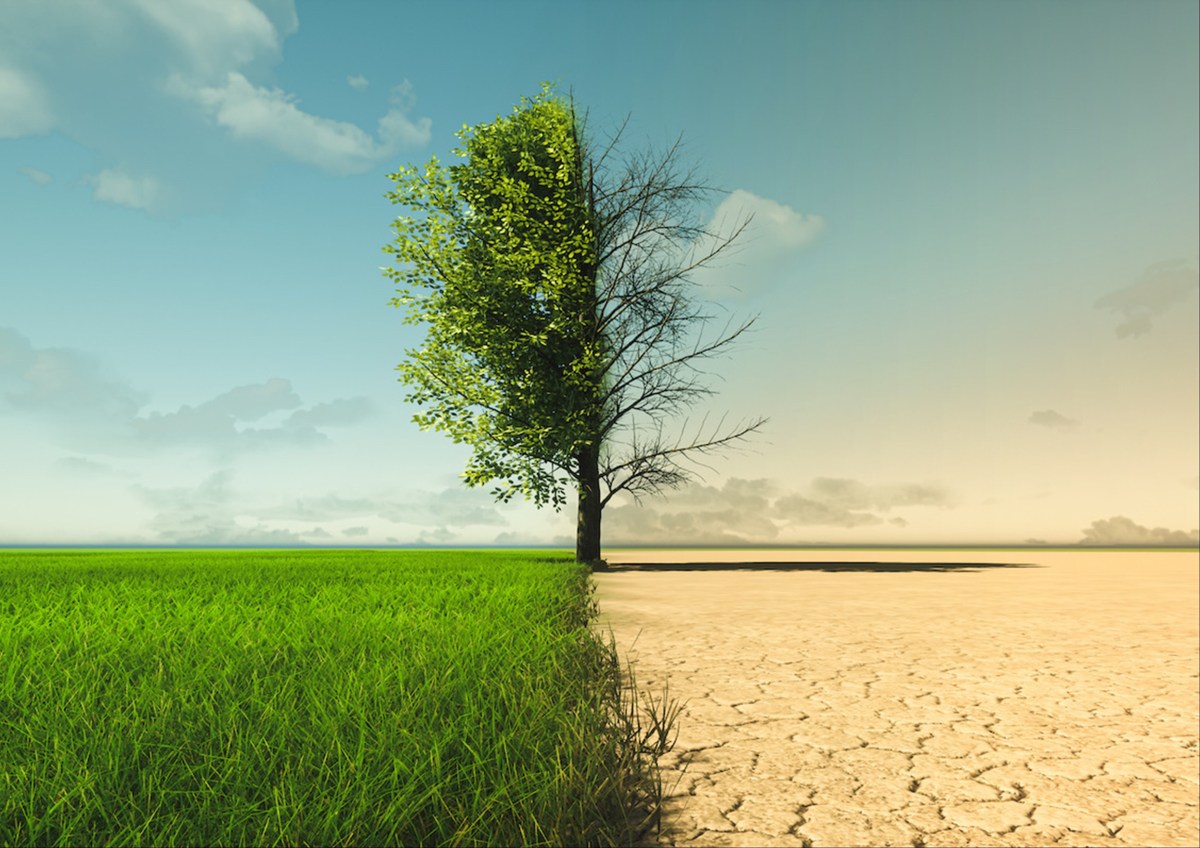 Firma anche tu! Referendum cittadino per la giustizia&nbsp;climatica